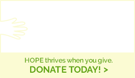 Donate Today >
